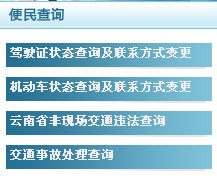 2014云南驾驶证信息查询入口