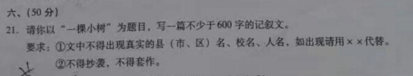 2017年四川绵阳中考作文题目：一颗小树