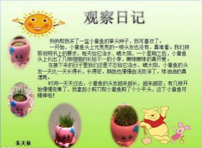 小开云kaiyun(中国)二年级观察日记【三篇】