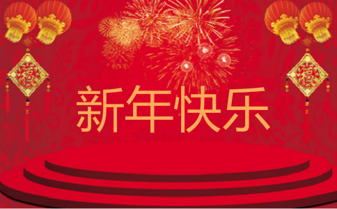 初三新年日记100字